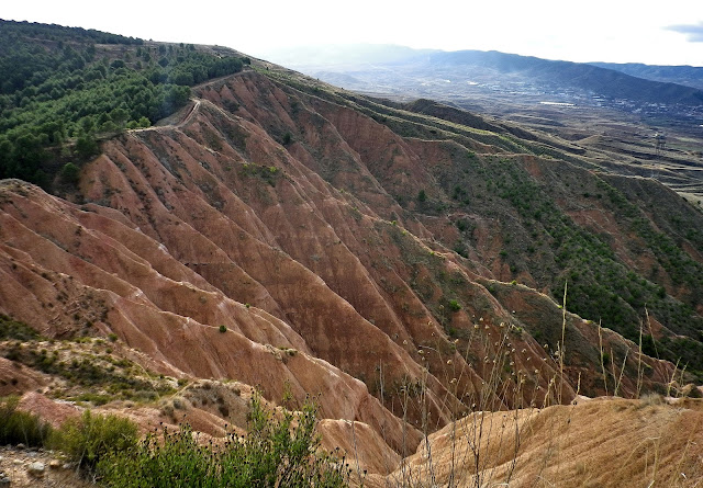 Rutas y paseos de senderismo por Rincón de Soto (La Rioja)