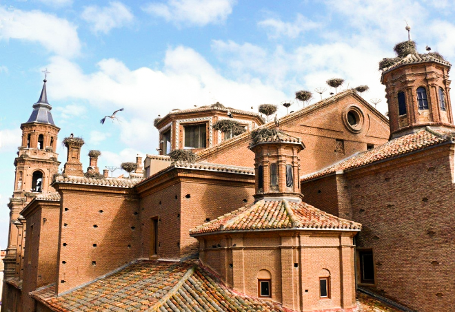 Rutas y paseos de senderismo por Rincón de Soto (La Rioja)