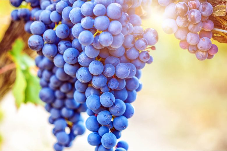 Septiembre, el favorito para disfrutar de las vacaciones