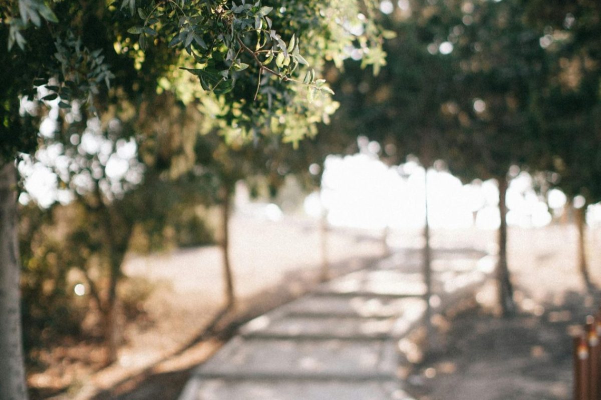 Rutas y paseos de senderismo por Rincón de Soto (La Rioja)